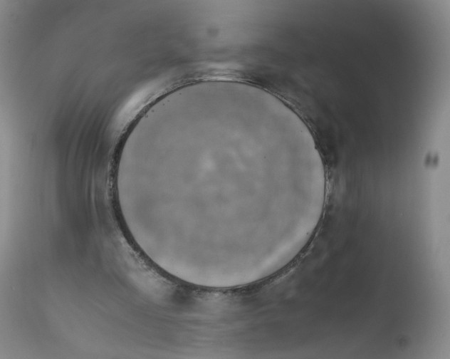 X0000111920293200908241057