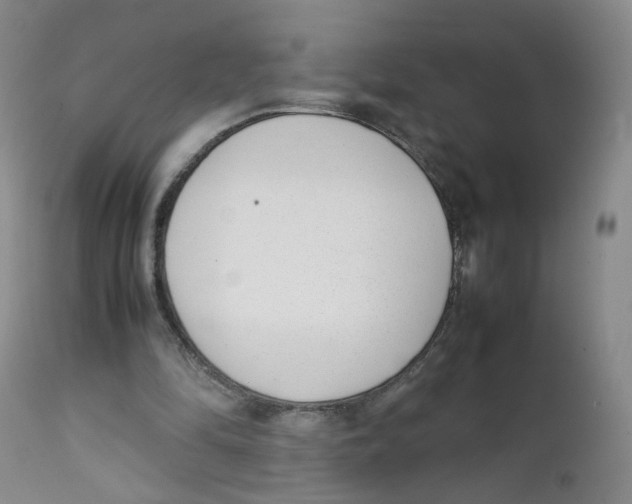 X0000111920294200908241057