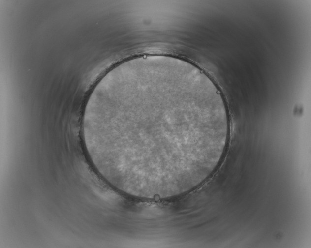 X0000111920297200908241057