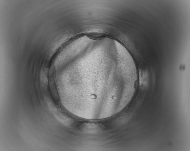 X0000111920300200908241057