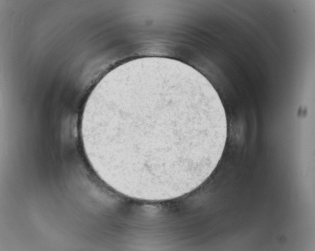 X0000111920302200908241057