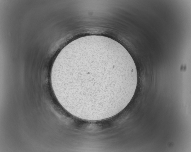 X0000111920303200908241057