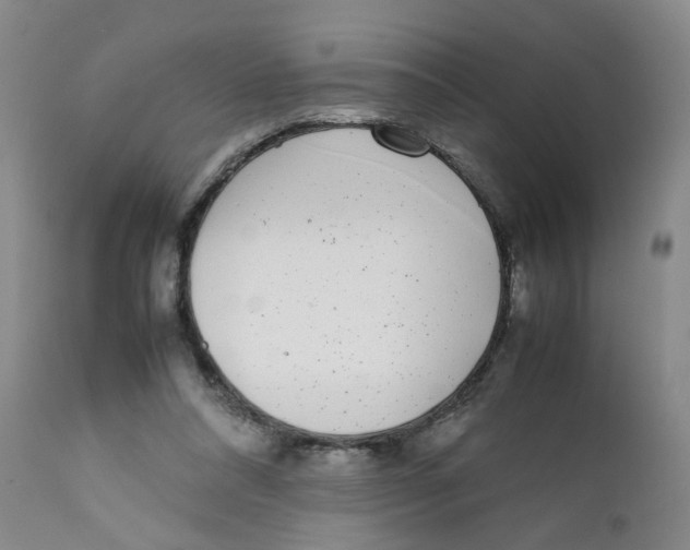 X0000111920304200908241057