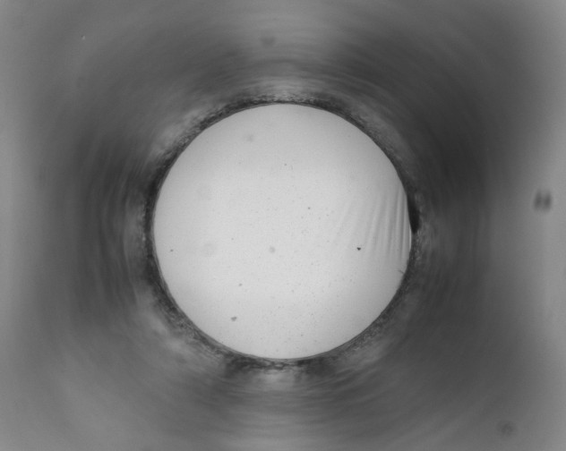 X0000111920306200908241057