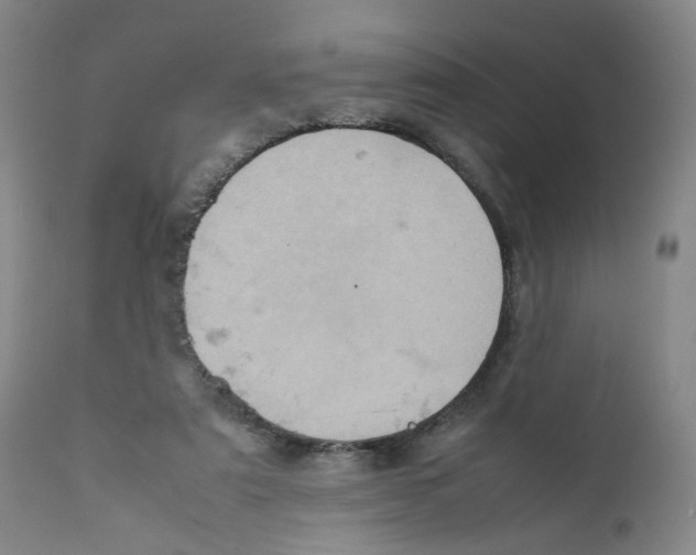 X0000111920307200908241057