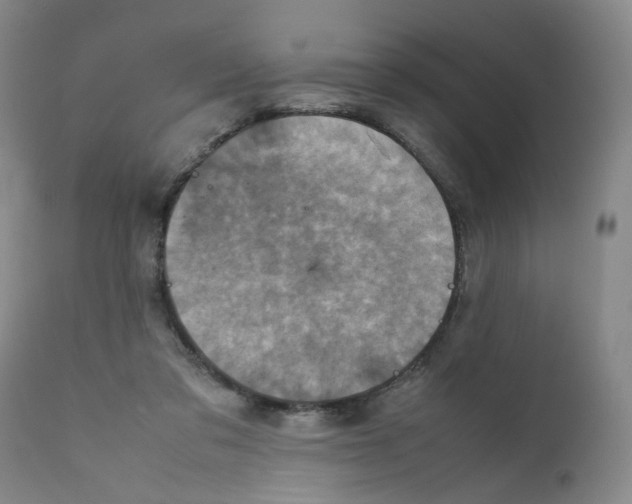 X0000111920309200908241057