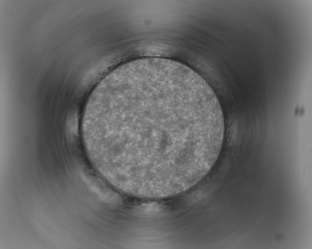 X0000111920310200908241057