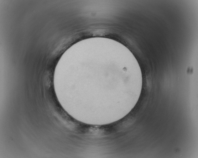 X0000111920311200908241057