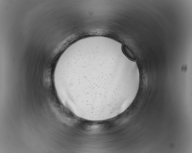 X0000111920312200908241057