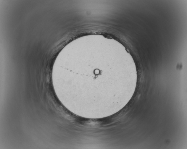 X0000111920313200908241057