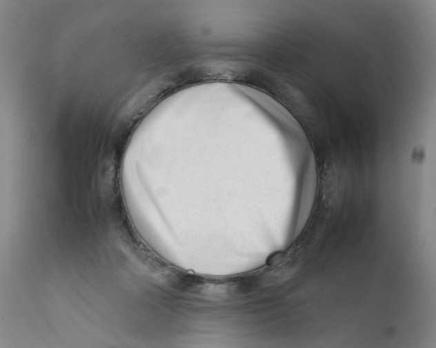 X0000111920314200908241057