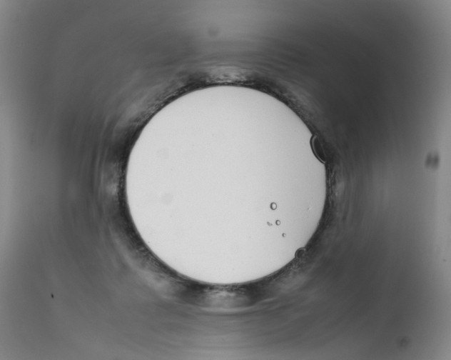 X0000111920315200908241057