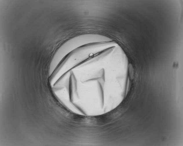 X0000111920317200908241057