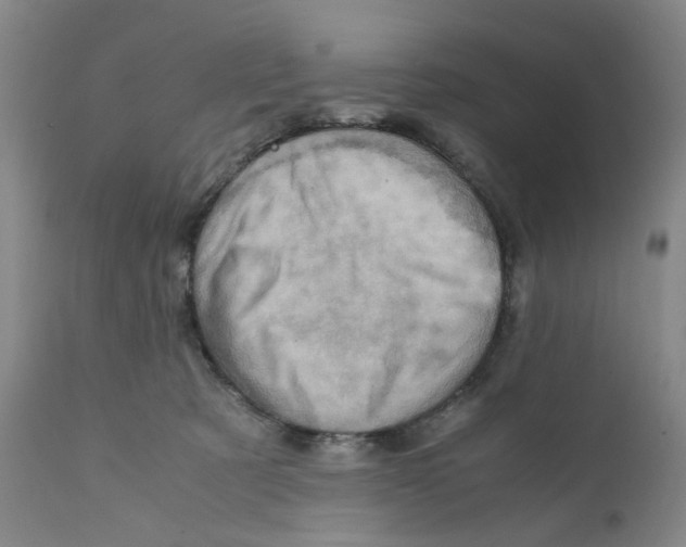 X0000111920321200908241057