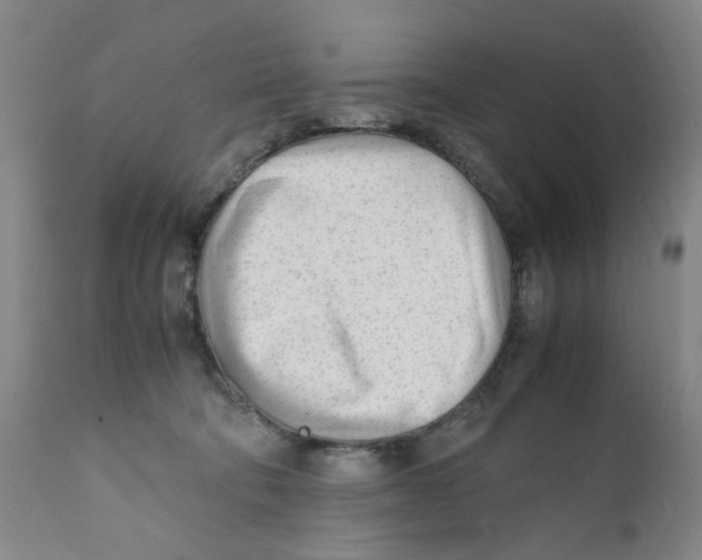 X0000111920322200908241057