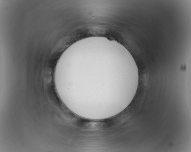 X0000111920323200908241057