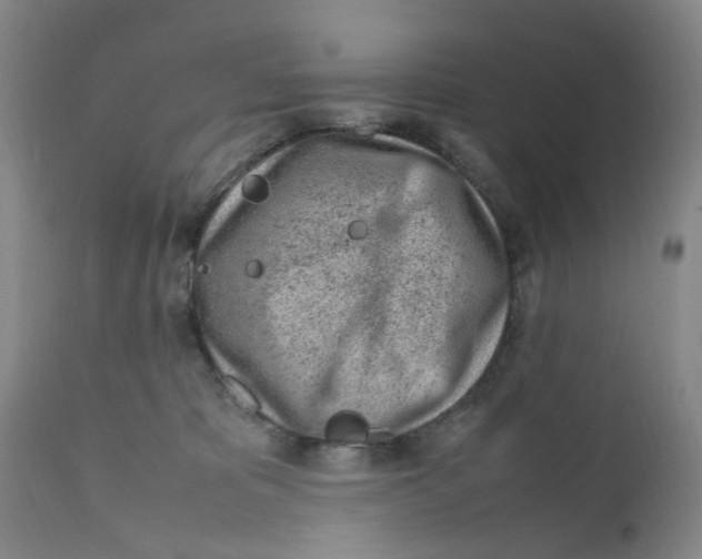 X0000111920325200908241057