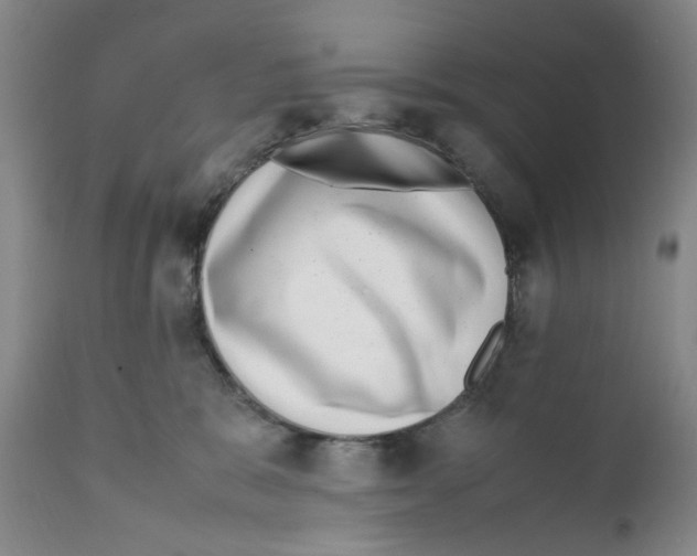 X0000111920327200908241057