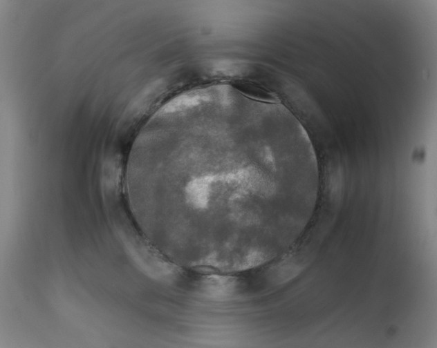 X0000111920328200908241057