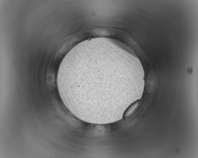 X0000111920330200908241057