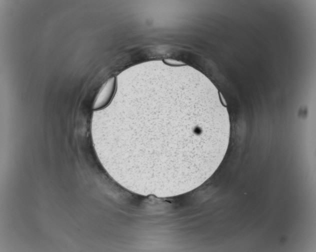 X0000111920331200908241057