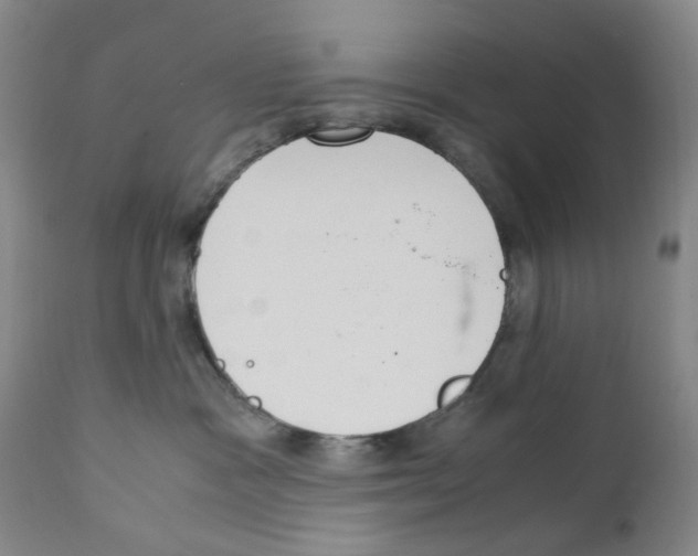 X0000111920333200908241057