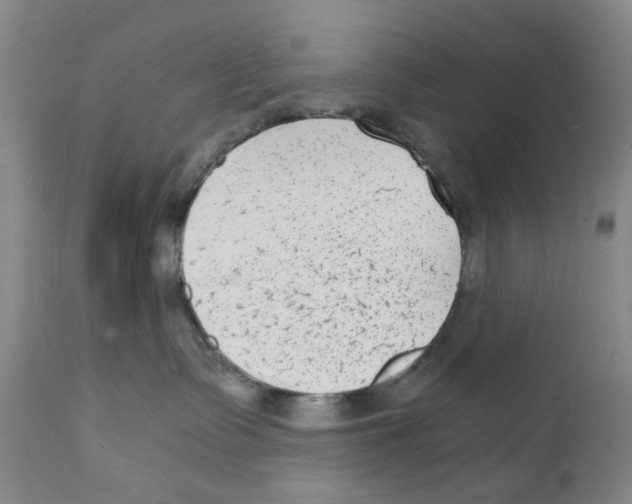 X0000111920335200908241057