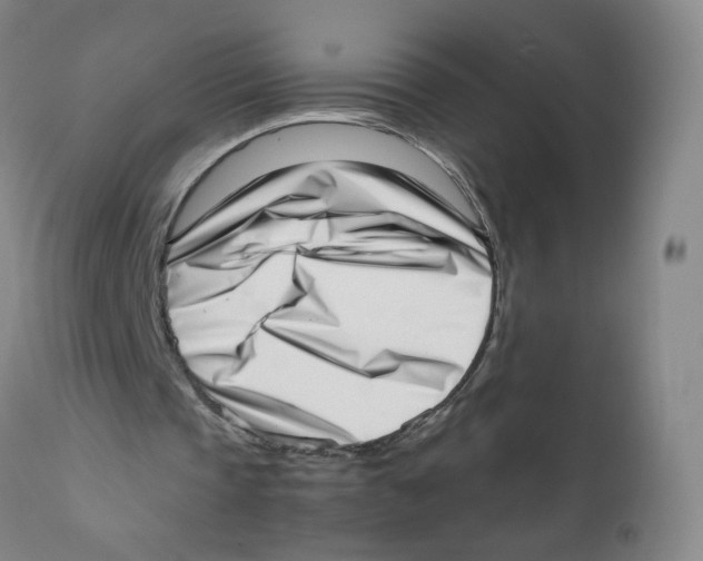 X0000111920337200908241056