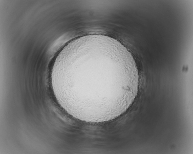 X0000111920339200908241056