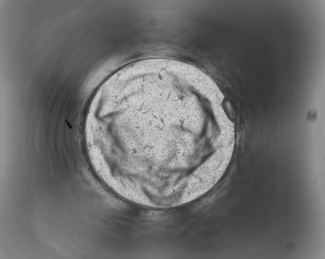 X0000111920341200908241056