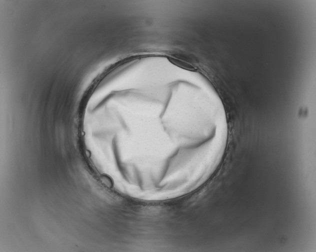 X0000111920342200908241056