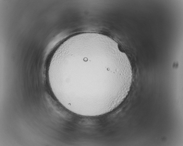 X0000111920343200908241056