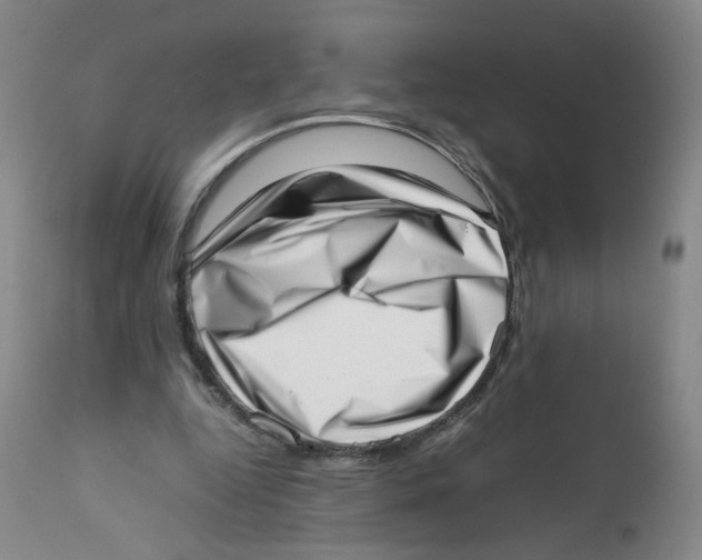 X0000111920344200908241056