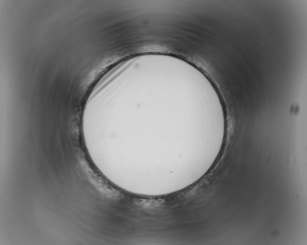 X0000111920345200908241056