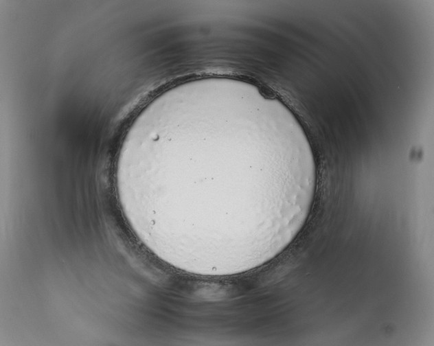 X0000111920347200908241056