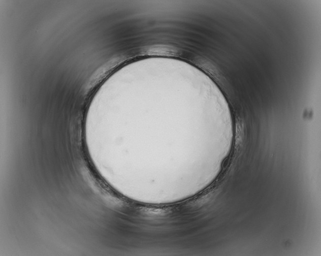 X0000111920349200908241056