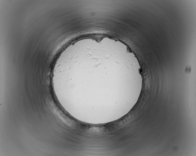 X0000111920350200908241056