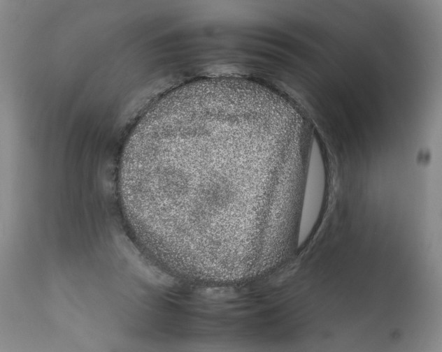 X0000111920353200908241056