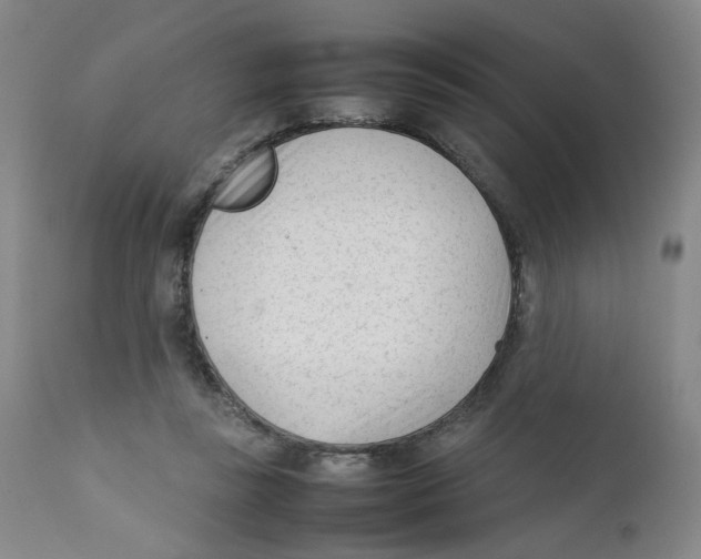 X0000111920355200908241056