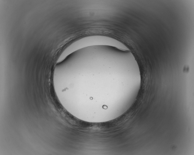 X0000111920356200908241056