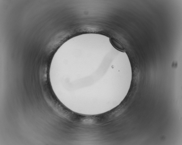 X0000111920358200908241056