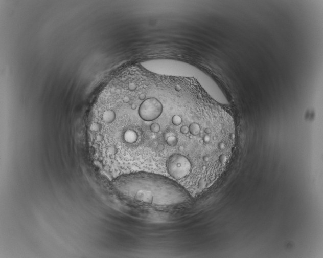 X0000111920359200908241056