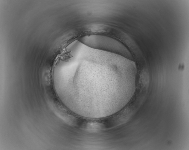 X0000111920360200908241056