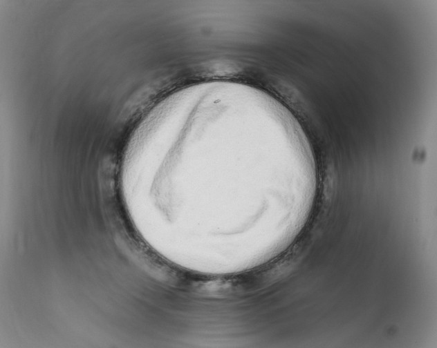 X0000111920366200908241056