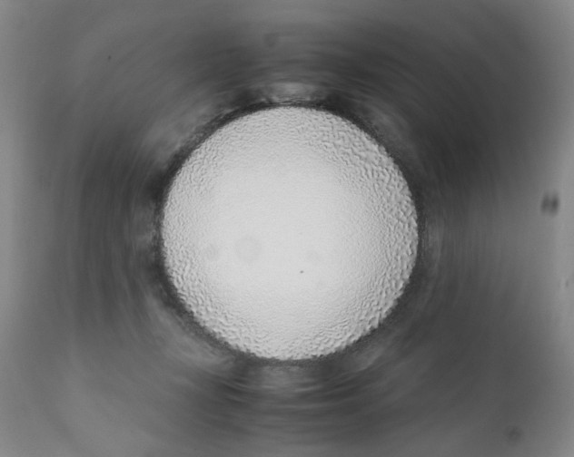 X0000111920367200908241056