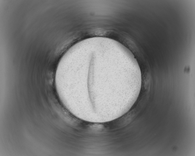 X0000111920374200908241057