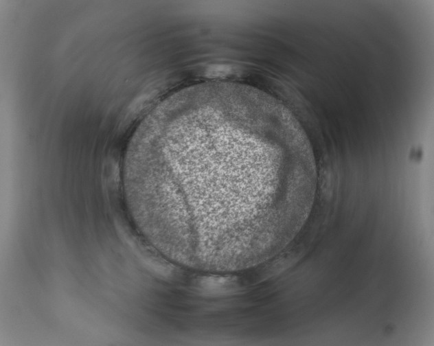 X0000111920375200908241057