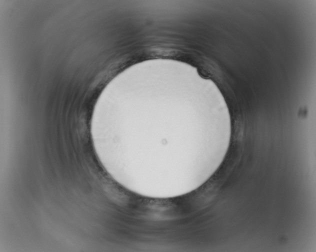 X0000111920377200908241057