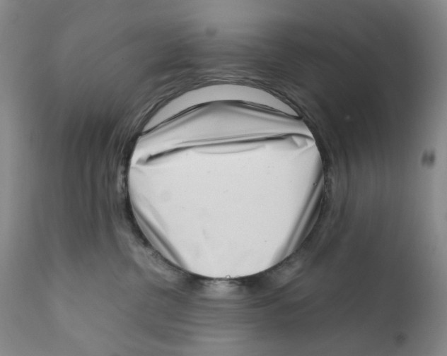 X0000111920380200908241057