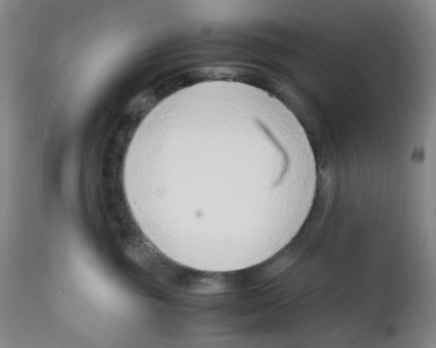 X0000111920381200908241057